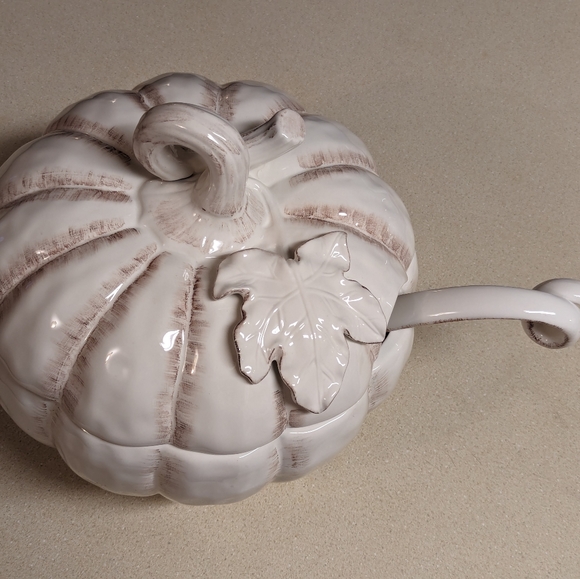 MIKASA Countryside Harvest 10” Covered Soup Tureen Ladle Pumpkin Pottery - Picture 9 of 12